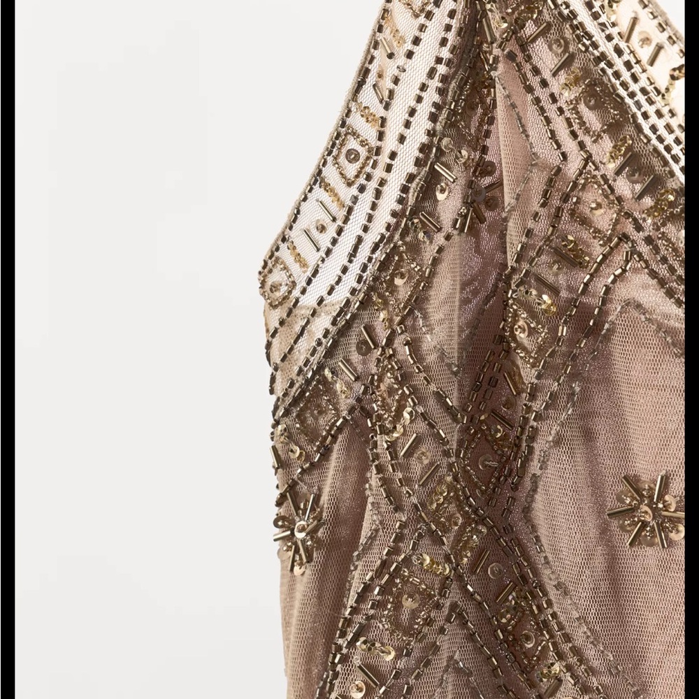 Zara limited edition EMBROIDERED TULLE Mini DRESS - Picture 15 of 15